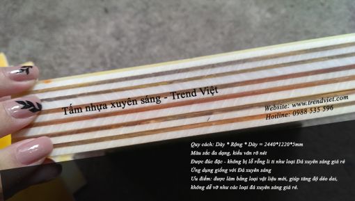 Mặt cắt tấm nhựa xuyên sáng Trend Việt